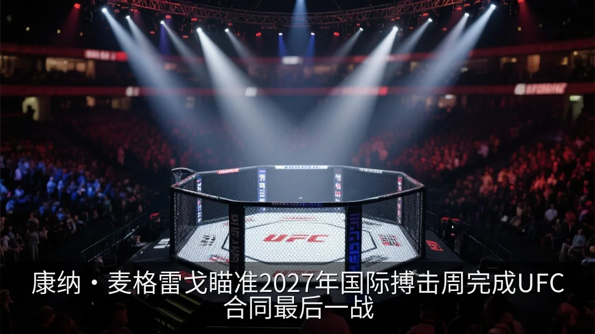 综合格斗比赛场馆内的灯光与八角笼